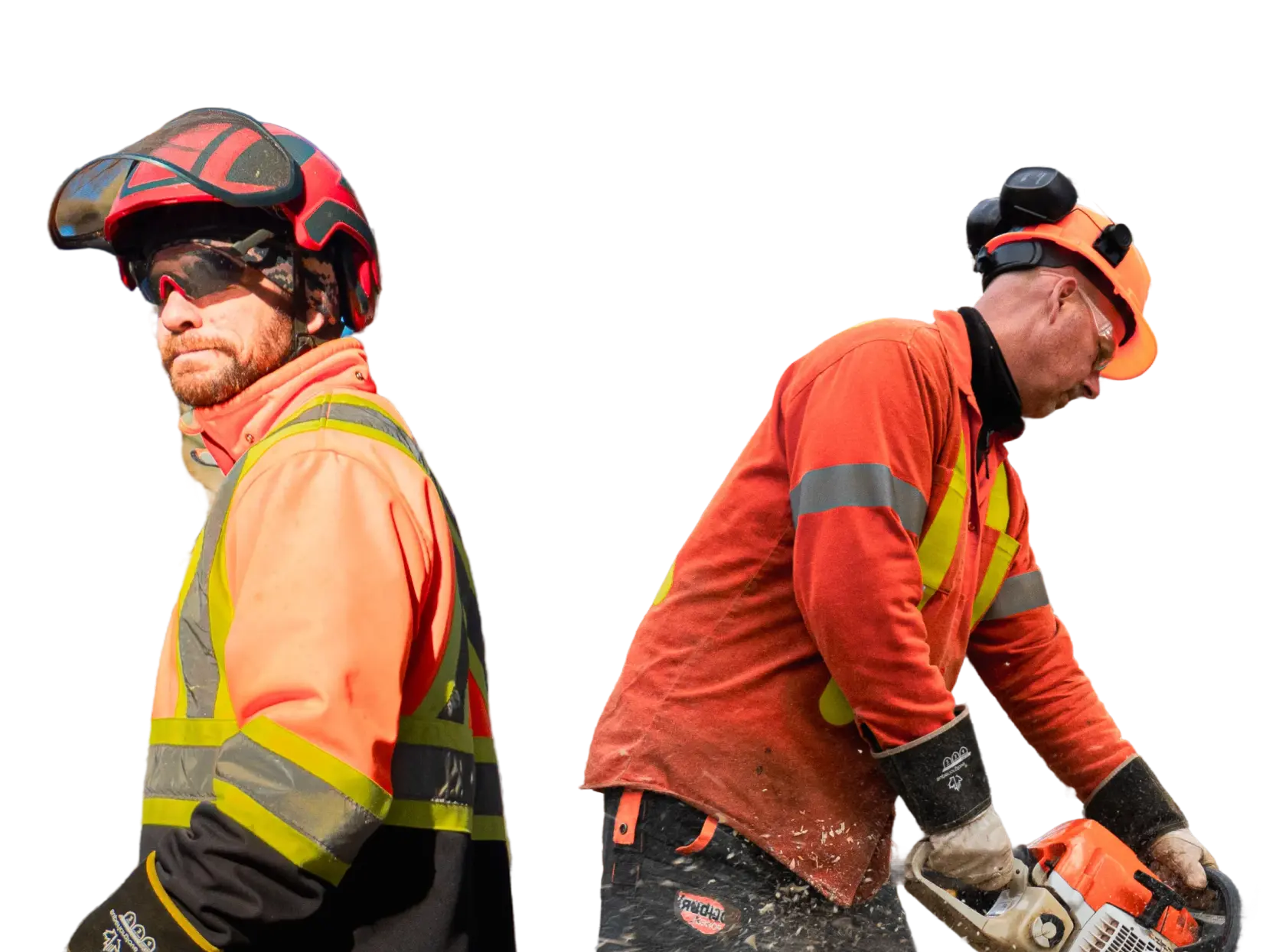 arboriculteurs